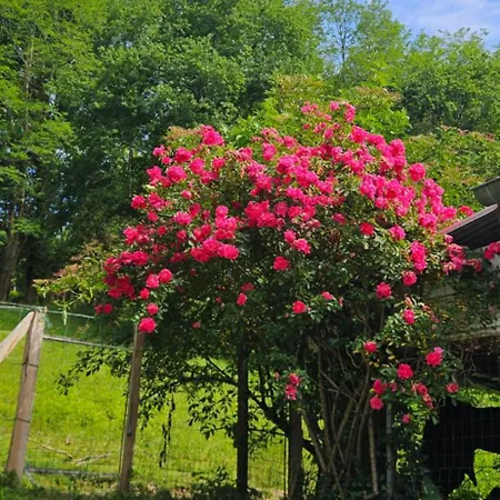 Maison Calme En Bord De Riviere Guiche