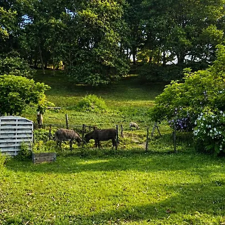 Maison Calme En Bord De Riviere Guiche