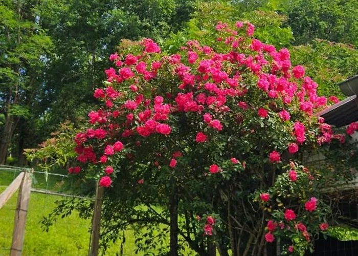 Maison Calme En Bord De Riviere Guiche